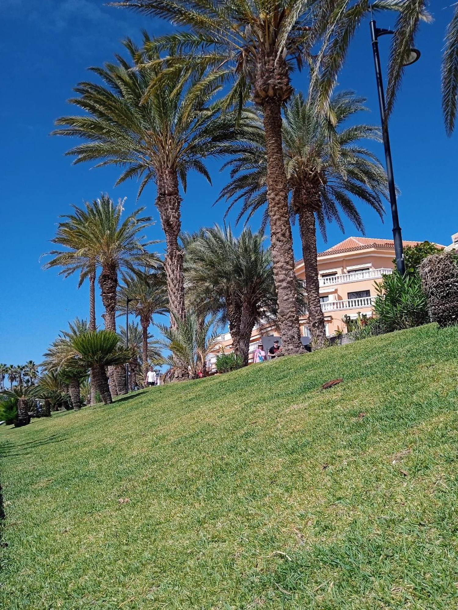 Mi dulce аpartamento con gratis Wi-Fi, con piscina en Los Cristianos Los Cristianos  Esterno foto